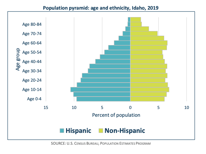 Population pyramid